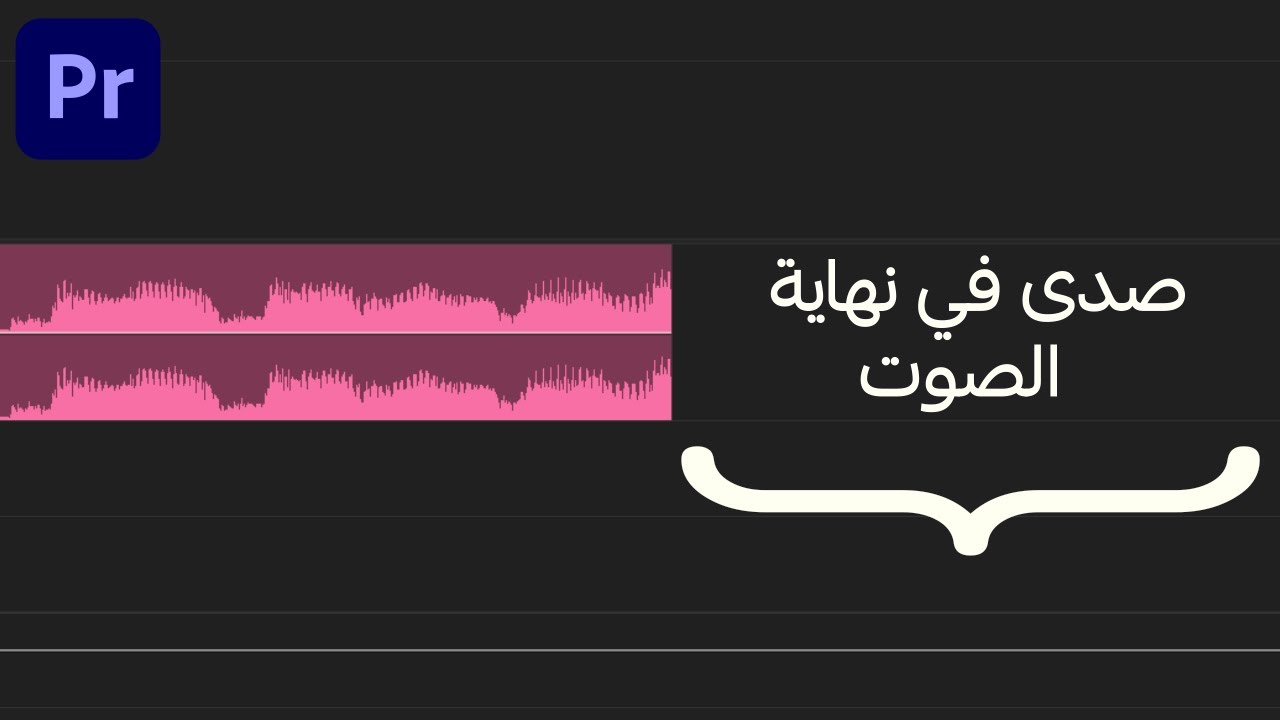 كيف تسوي صدى في الصوت | بريمير برو