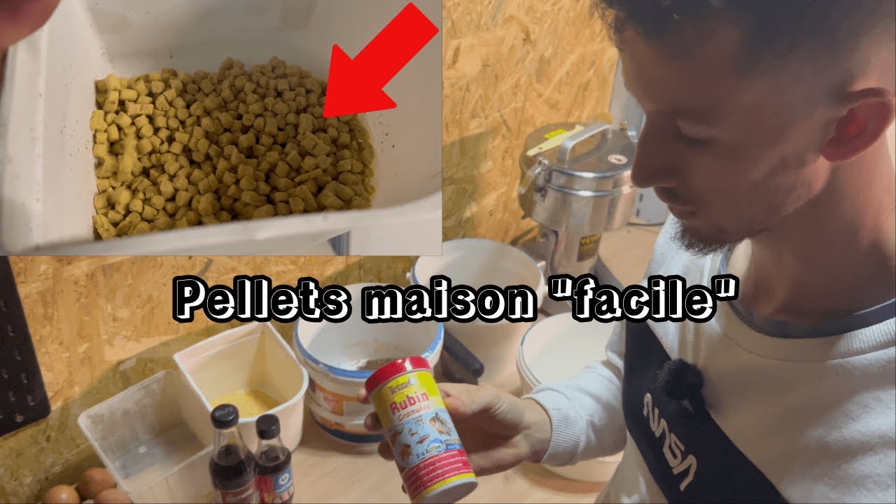 Faire du pellets carpe/feeder 