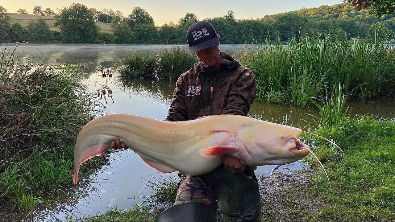 Etang des Gaulois Fishing