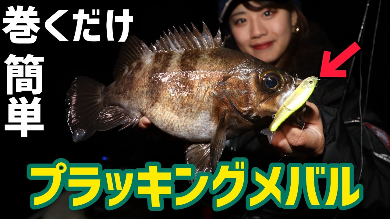 【メバリング】プラグ と ワーム を使って メバル が 釣れまくる ！【目標サイズ30cm】