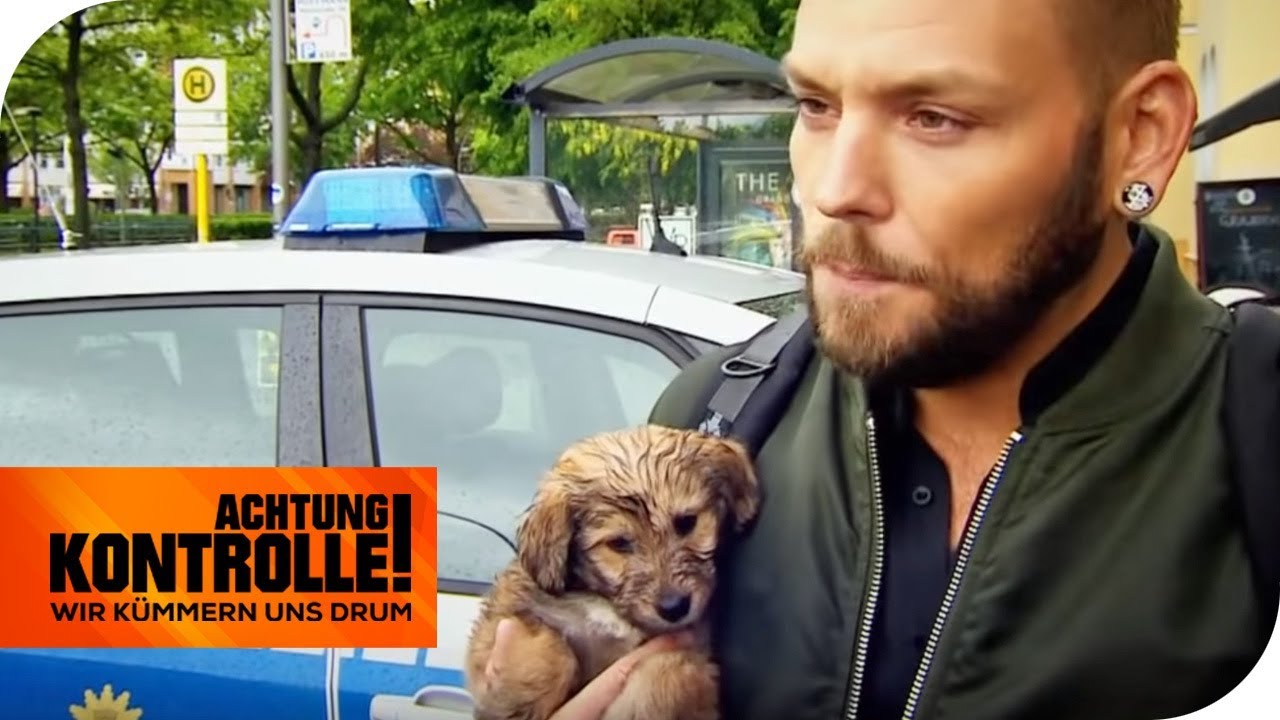 Dreiste Abzocke der Welpenmafia! Illegaler Tierhandel in Berlin | Achtung Kontrolle | kabel eins