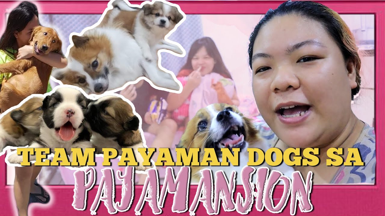 All the TEAM PAYAMAN DOGS sa PAYAMANSION!