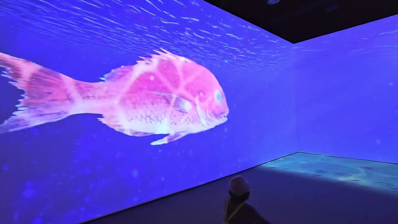 會動的浮世繪(高雄場) - 藍