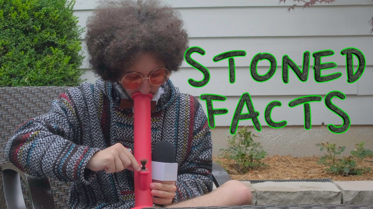 Stoned Facts! | Ep. 5 |Chicago Nuisance
