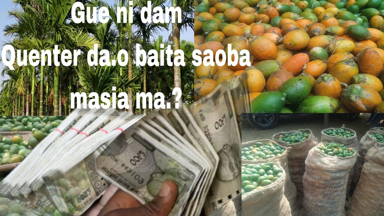 Gue Quenter da.o baita saoba masia ma.?14 February 2026
