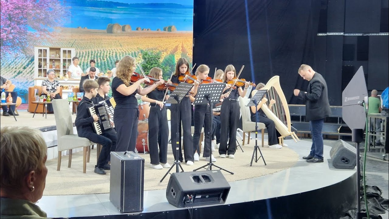Halay Orchestra - Seven Nation Army (Intrumental) (Cover)