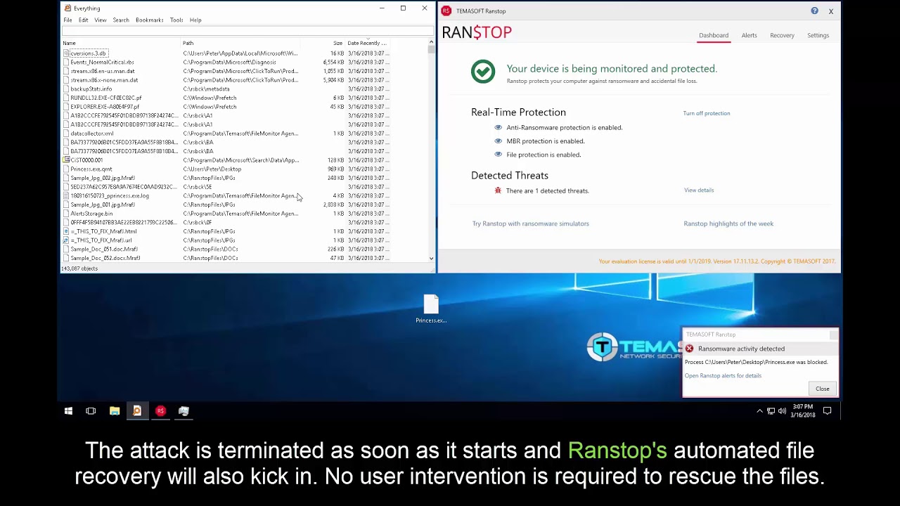 TEMASOFT Ranstop blocks Princess Locker ransomware
