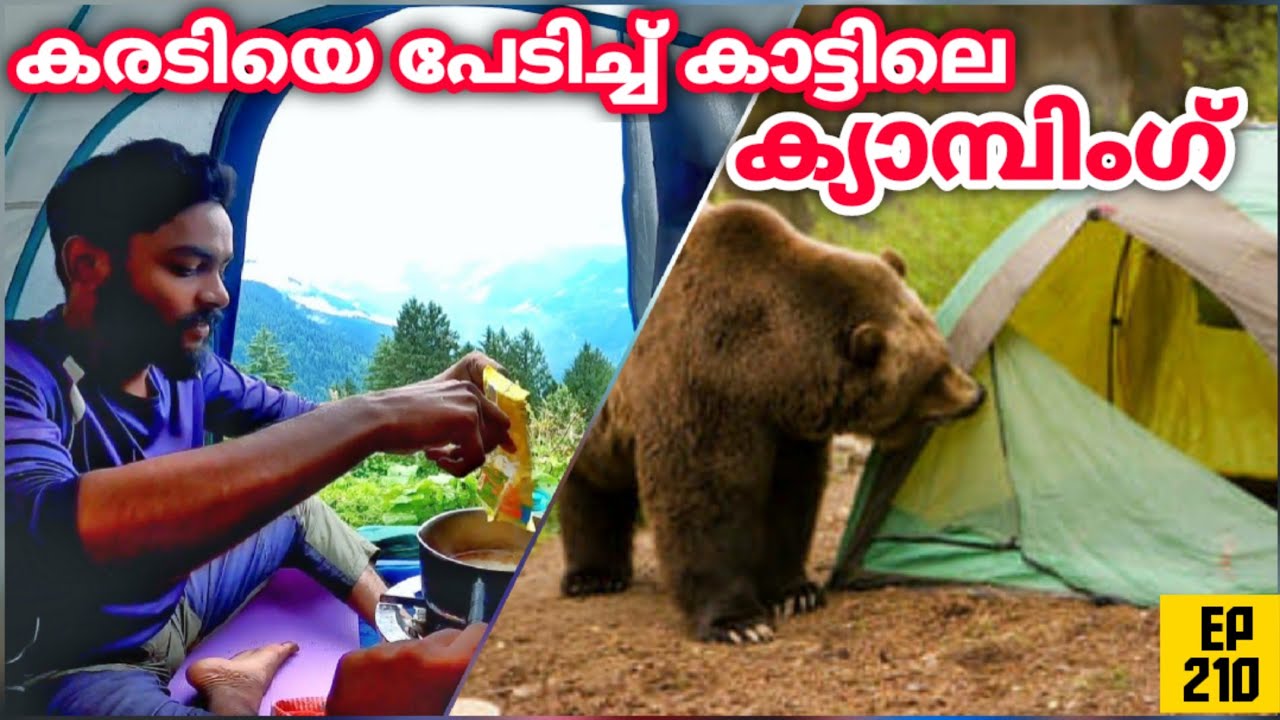 കരടിയെ പേടിച്ച് മണാലി കാട്ടിലെ  ക്യാമ്പിംഗ് EP 210 | Tent Camping With Shepherd | Manali Trekking