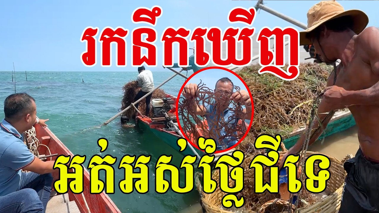 ចេះរកនឹកឃេីញ​ អត់អស់ថ្លៃជីទេ​ ដាក់ចូលទឹកចាំដល់ថ្ងៃប្រមូលវិញ