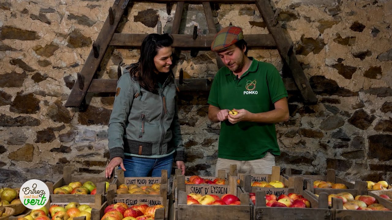 🍏 Quel pommier planter dans votre jardin ? 🍎 Les conseils de Pomko...