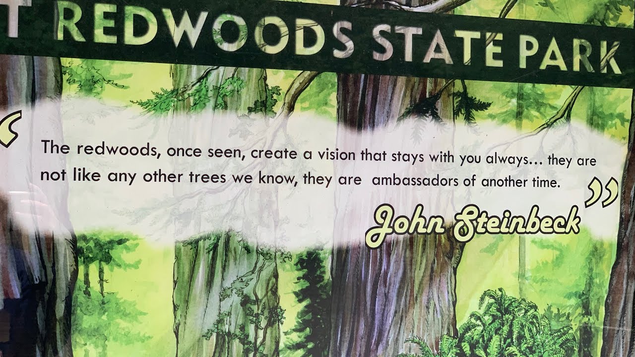 Northern California Road Trip- Episode 3 —Fort Bragg, Redwood Forest…