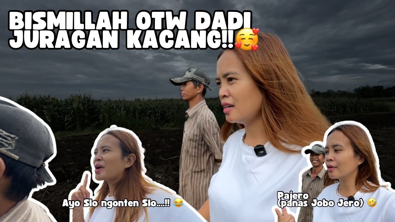 BARENG BAPAK TILIK LAHAN MAU DITANAMI KACANG SEMOGA PANEN BISA BELI PAJERO 🤲‼️