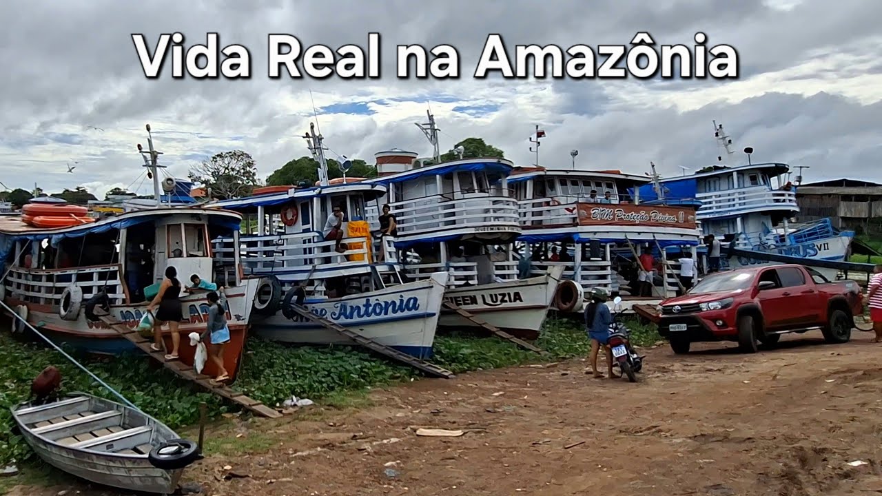 Vida Real no Amazonas