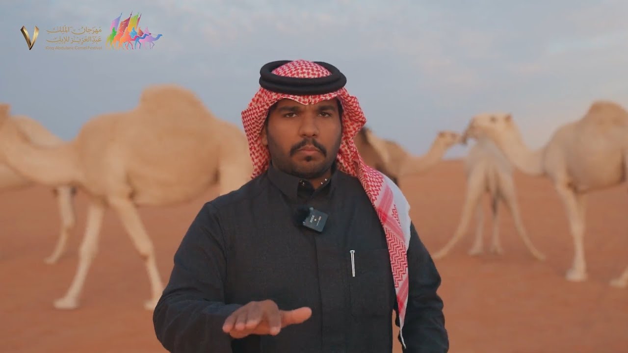ودّه بصوته وأنقذت حياته في قصة من عجائب الإبل