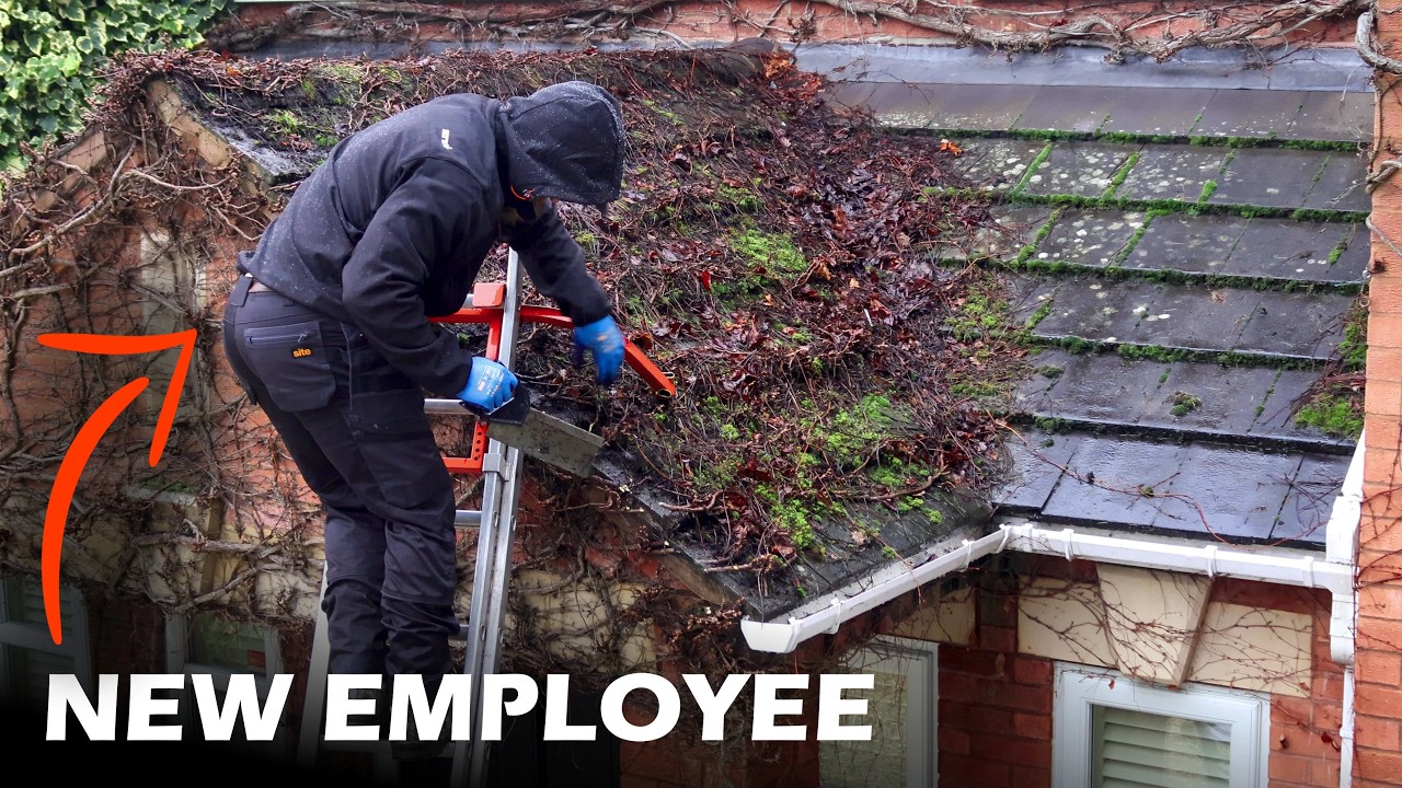 I've NEVER Cleaned a Roof Like This! Satisfying Ivy Removal