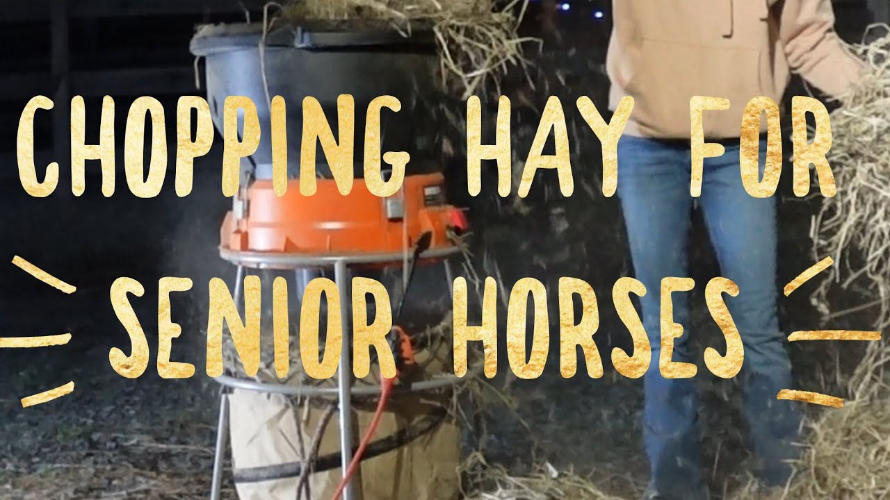 How to Chop Hay for Senior Horses 🐎