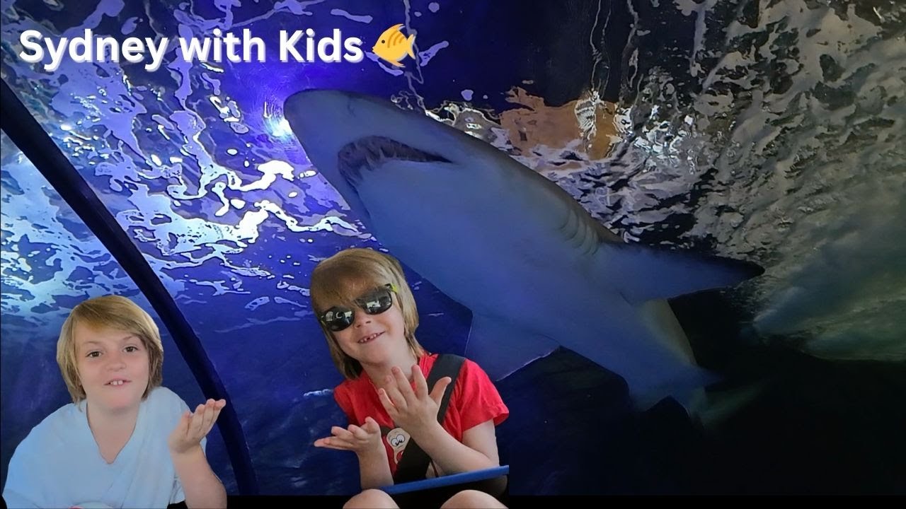 Sydney Harbour & Aquarium with the Kids