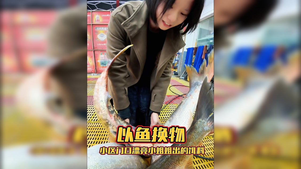 鱼换万物 感谢小姐姐信任，冬钓鲢鳙又一次狂口，爽