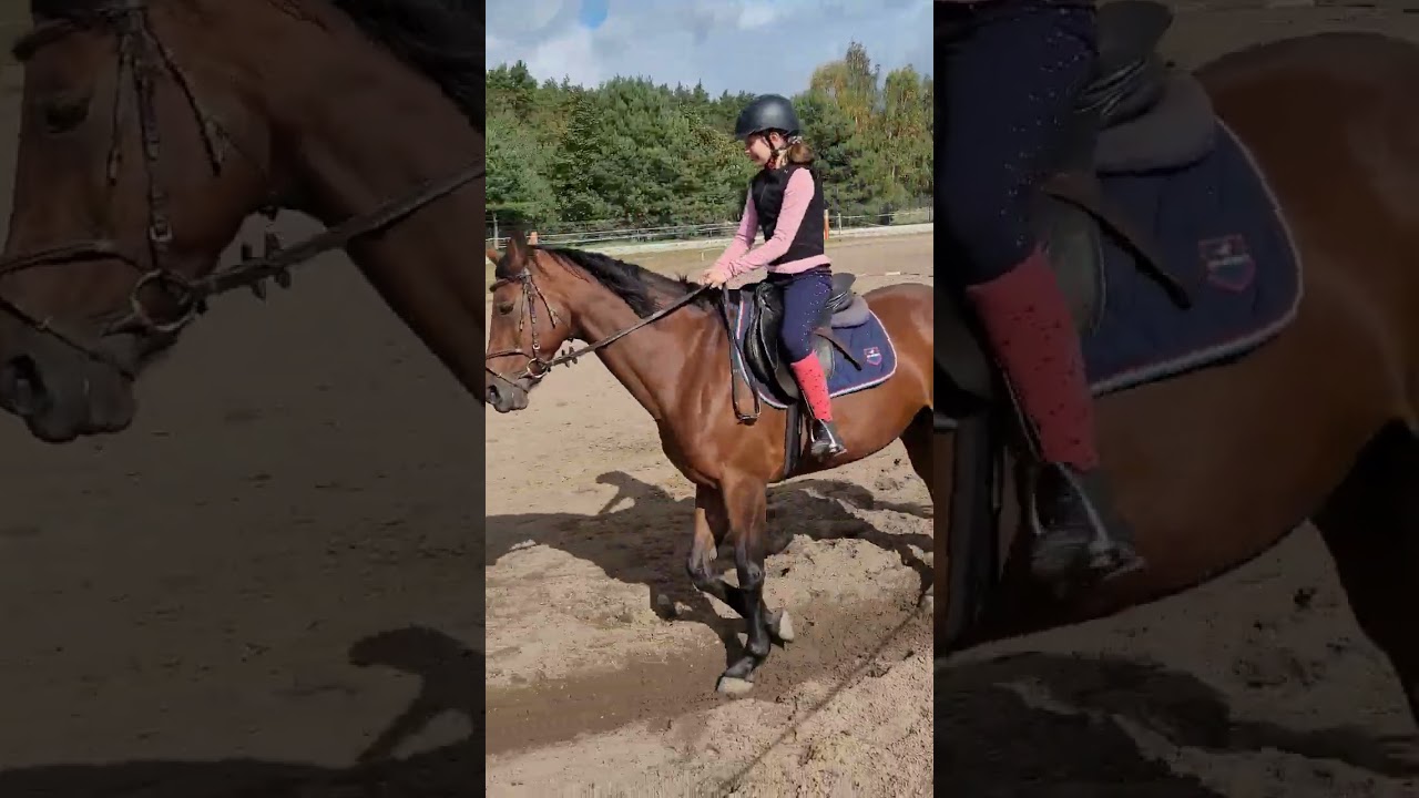 Pierwszy kłus w nowej stajni 😍🏇 Pierwszej zajęcia z nauki jazdy konnej 🐴🐎