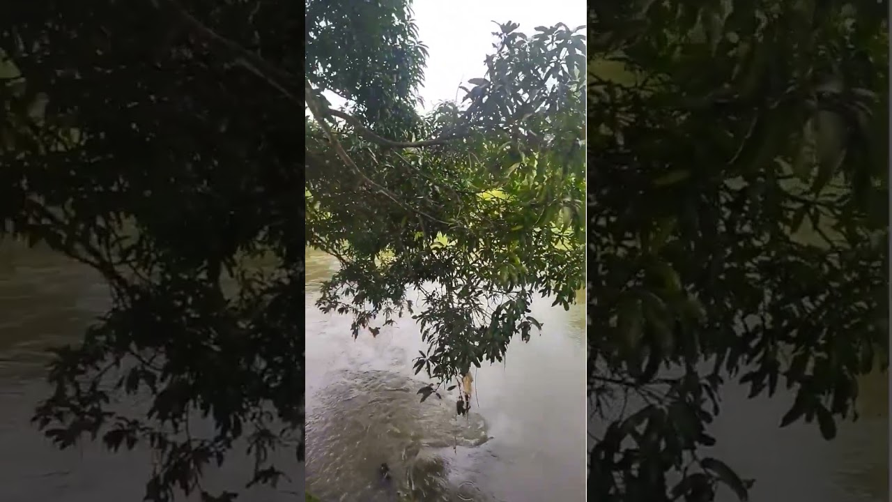 River Side Ripples Restaurant,  Thodupuzha
