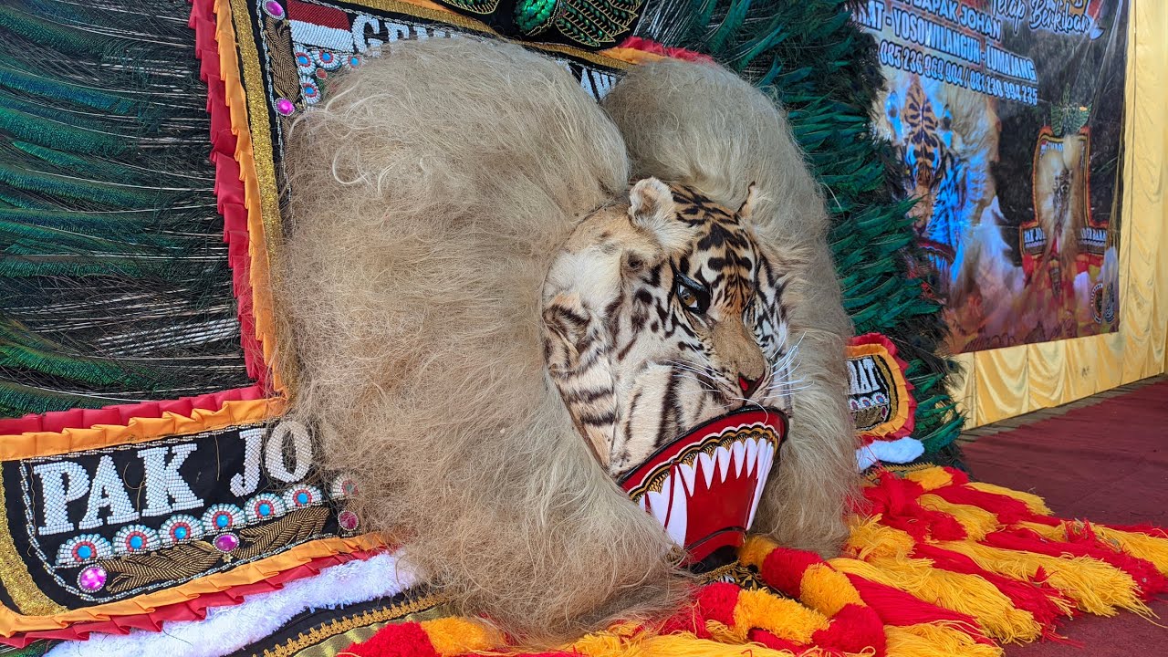 PREPARE PEMASANGAN BARONGAN REOG GEMBONG BAWONO