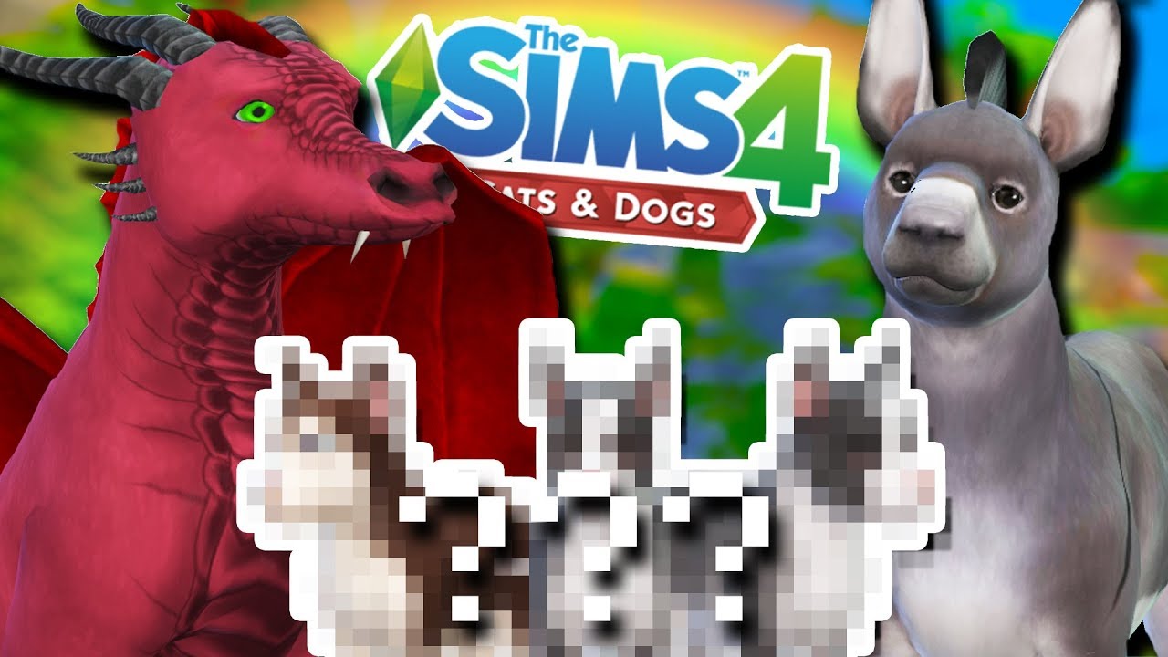 Hatching DRAGON and Donkey Babies?! 🐲💕🐴