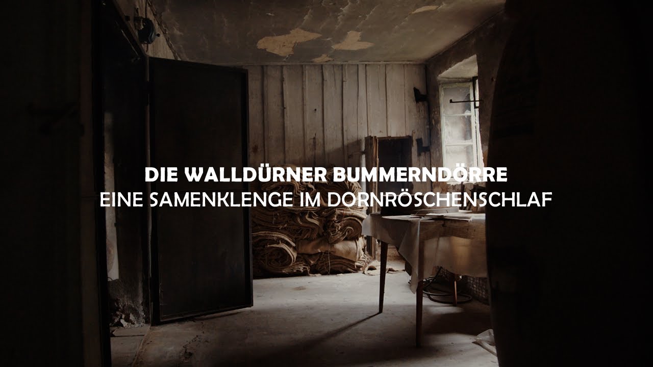 Die Walldürner Bummerndörre - Ein Industriedenkmal im Dornröschenschlaf