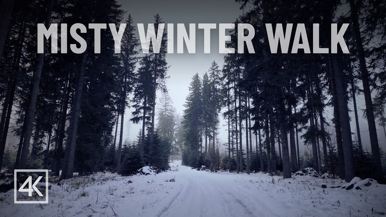 Misty Winter Walk | Bohemian Forest Winter Walk | Nature Sounds | 4K Ultra HD