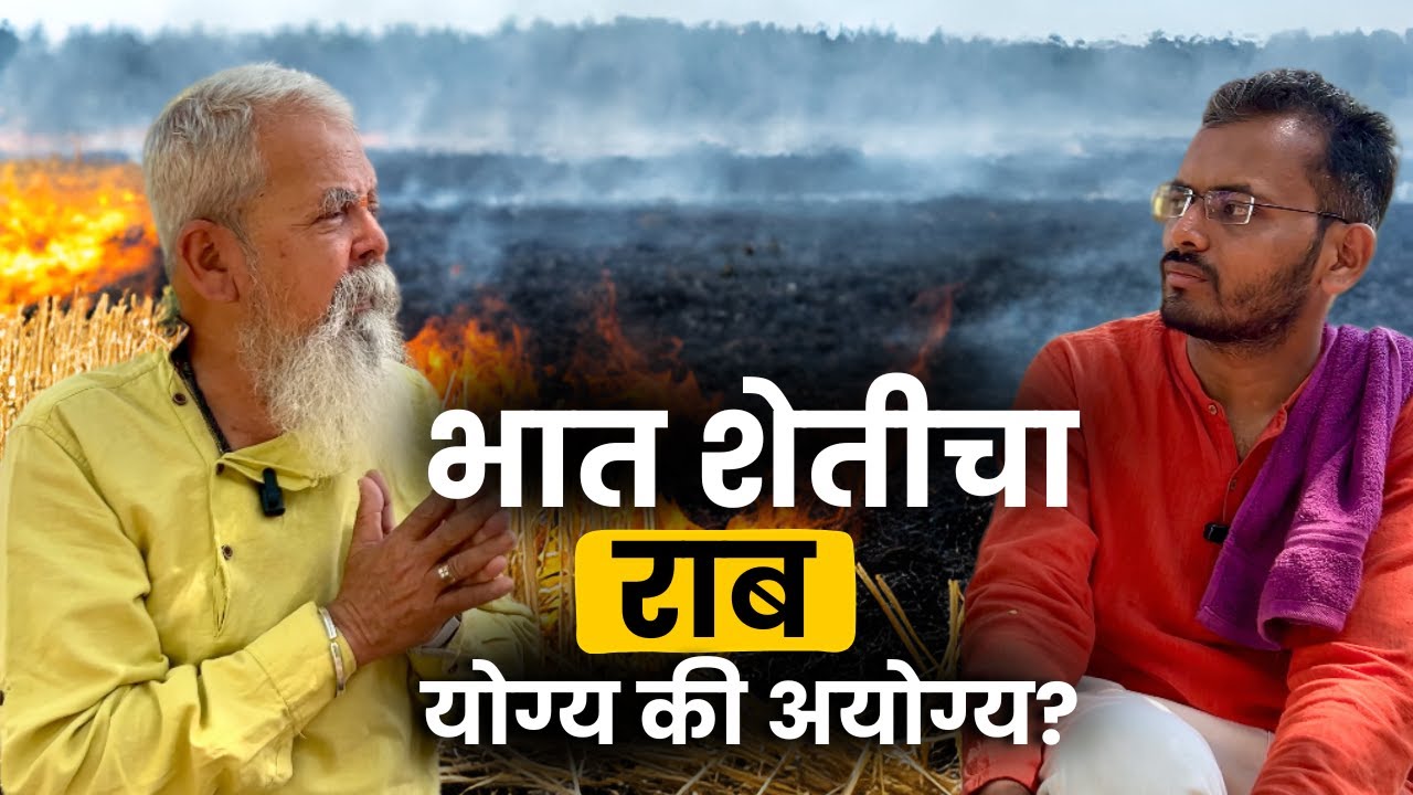 शेताचा राब योग्य की अयोग्य ? | निसर्गमित्र | कृषीभूषण राजेंद्र भट