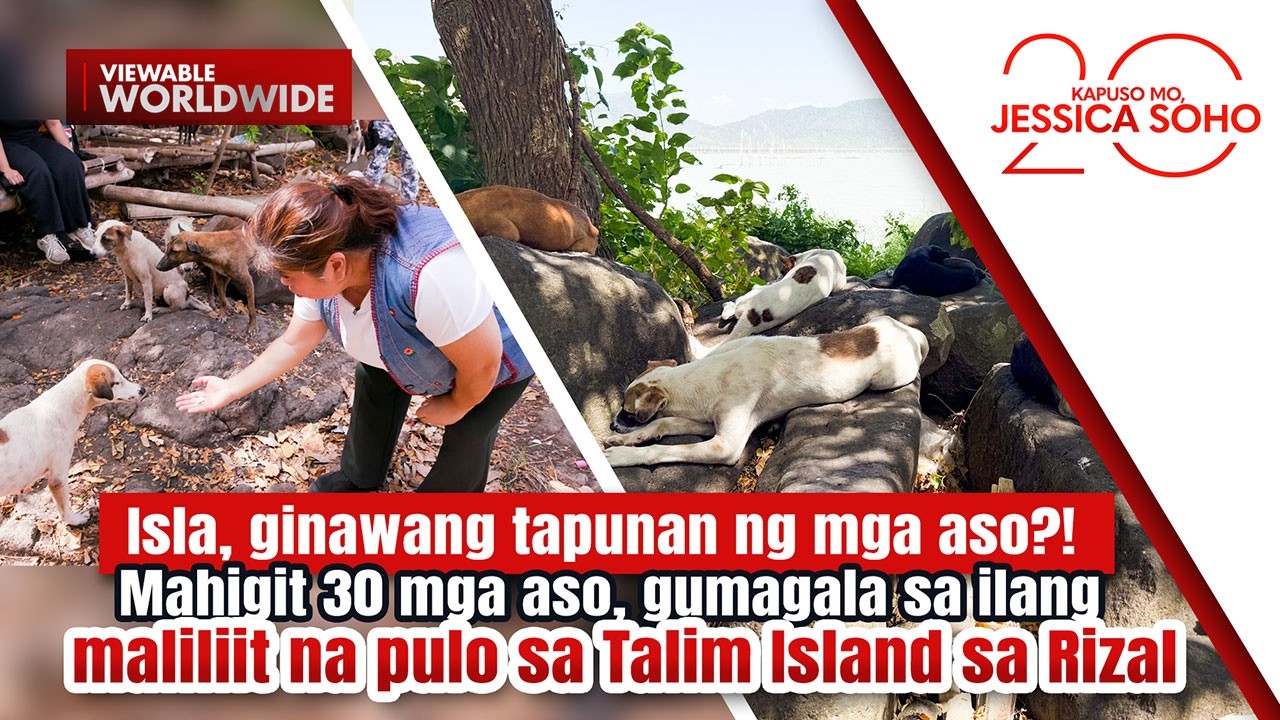 Isla, ginawang tapunan ng mga aso?! | Kapuso Mo, Jessica Soho