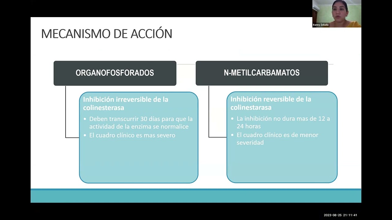 2.  INTOXICACION POR PLAGUICIDAS