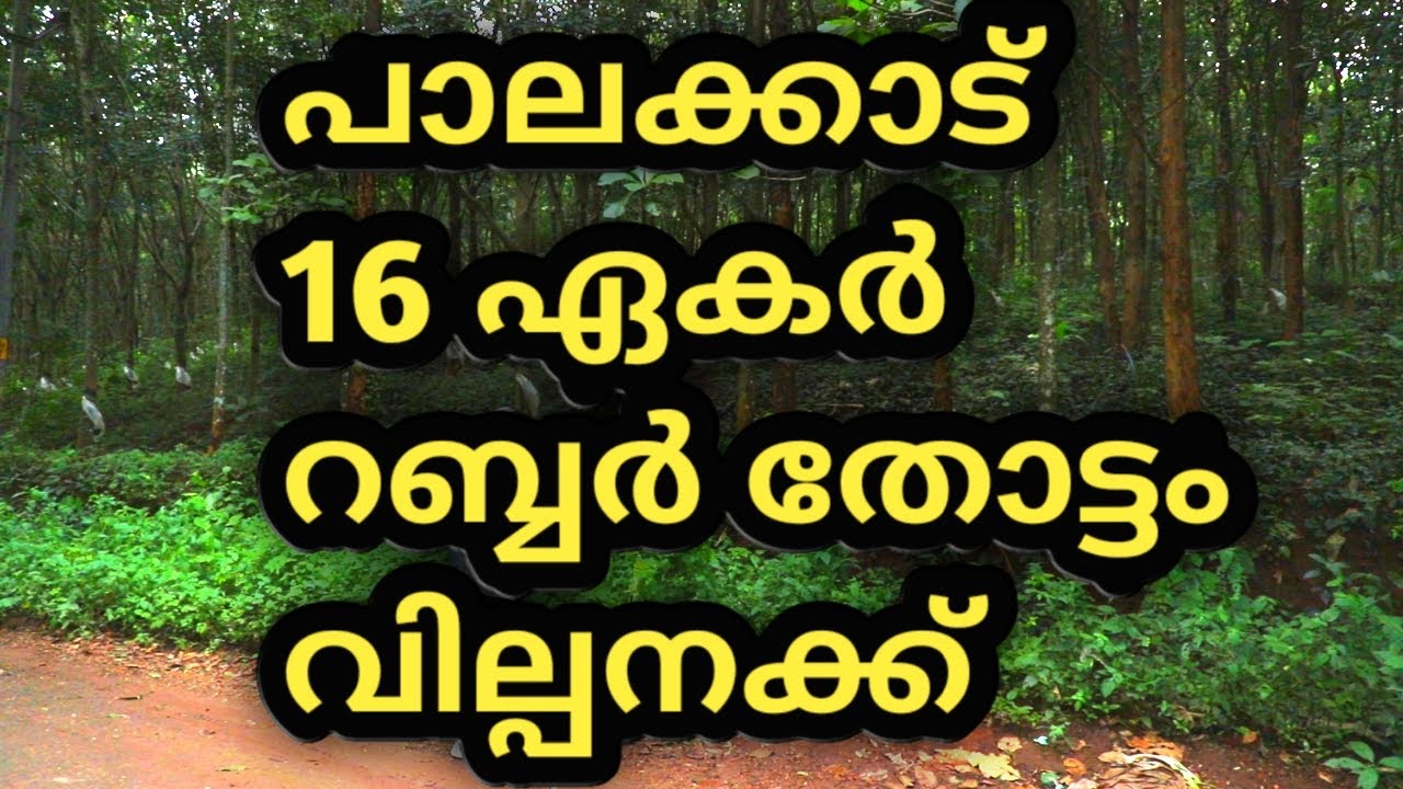 PALAKKAD 16 Acre RUBBER FOR SALE