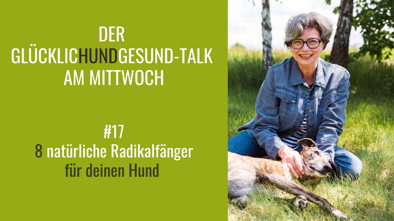 Gl&uuml;cklicHundGesund-Talk # 17 &ndash;  8 nat&uuml;rliche Radikalf&auml;nger f&uuml;r deinen Hund