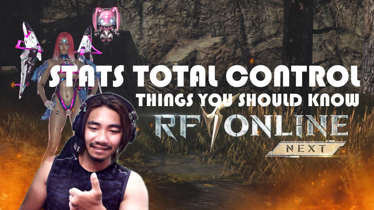 BUILDING YOUR PERFECT STATS EXPLAINED - RF ONLINE NEXT