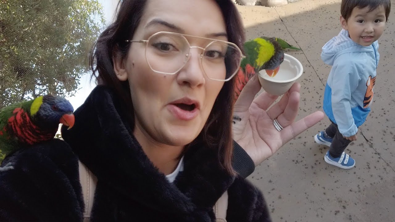 Mommy And Son Date Idea: First Time At The Zoo!