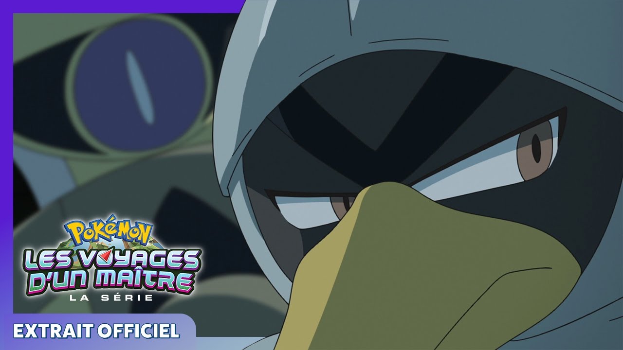 Exagide contre Canarticho ⚔️ | La série : Pokémon, les voyages d’un Maître | Extrait officiel