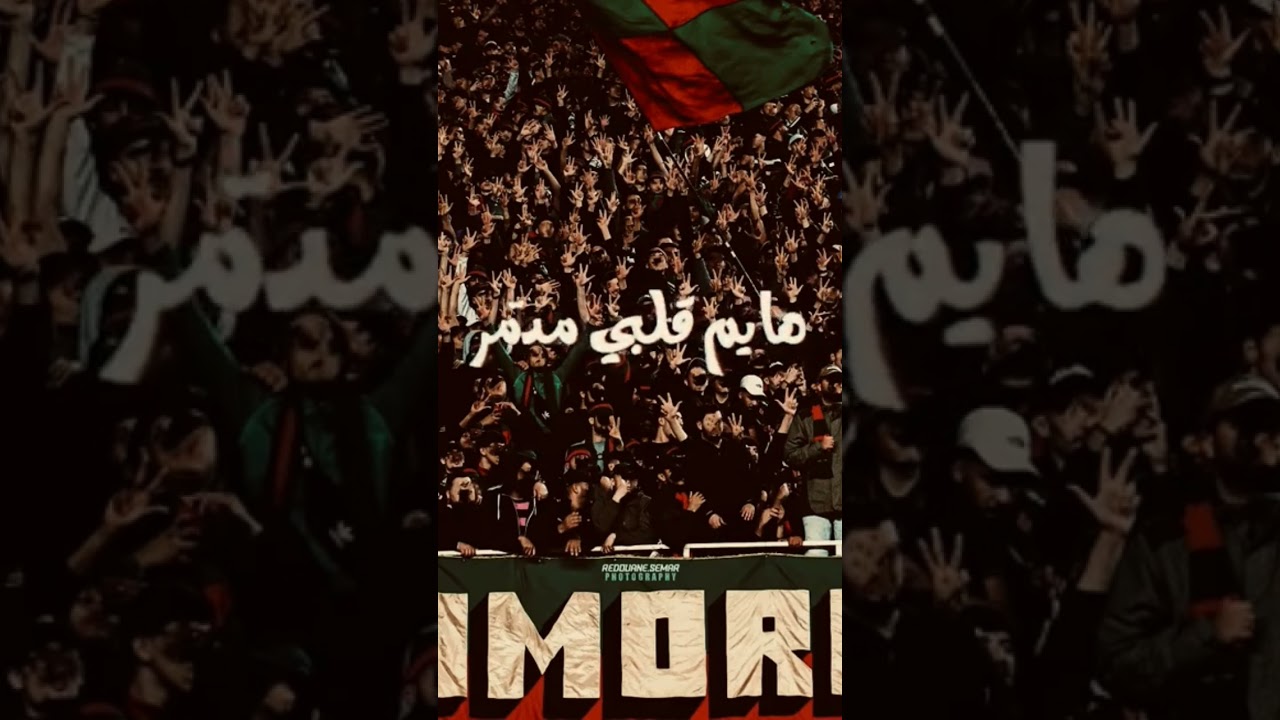 مبلي بالكمية حب و عقلية edit