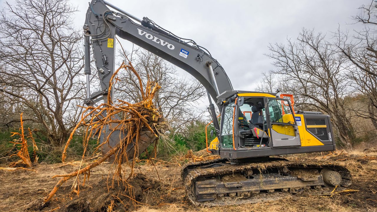Pulling Giant Stumps with My New Excavator