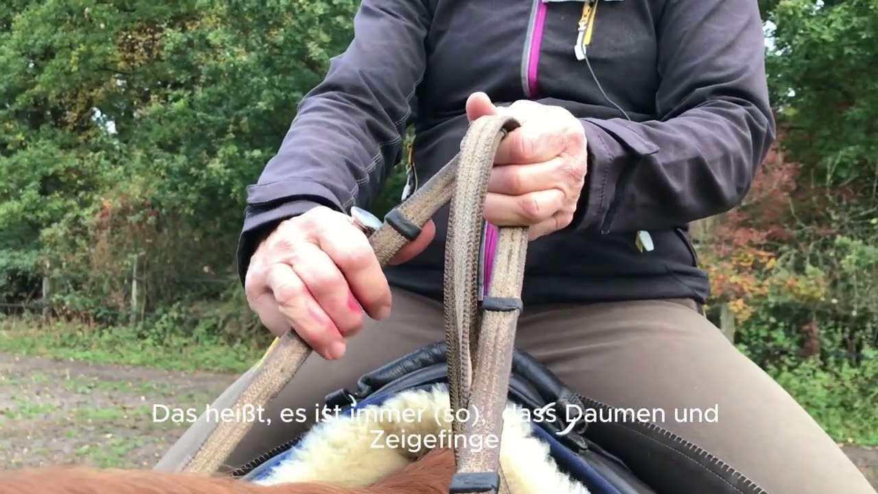 Reiten lernen mit Sibylle Wiemer: Das Aufnehmen der Zügel   - mit Untertiteln