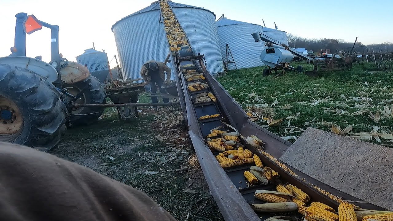 Filling a Grain Bin with Ear Corn