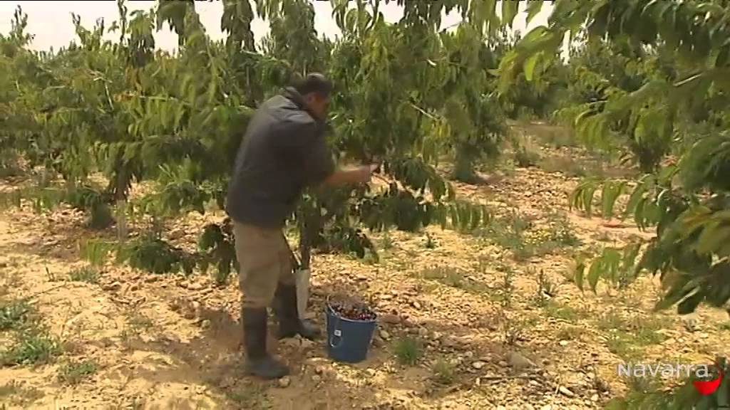 Agronavarra 11 junio 2014