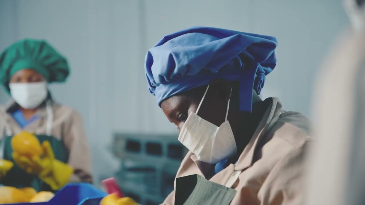 Pure and Just Food Ghana | Tropical Dried Fruit Processing