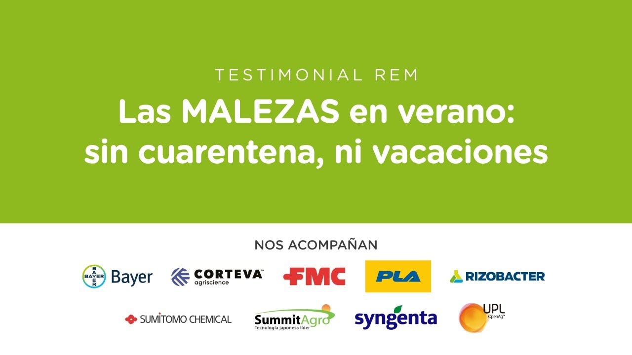 Testimonial REM: LAS MALEZAS en Verano: sin cuarentena, ni vacaciones