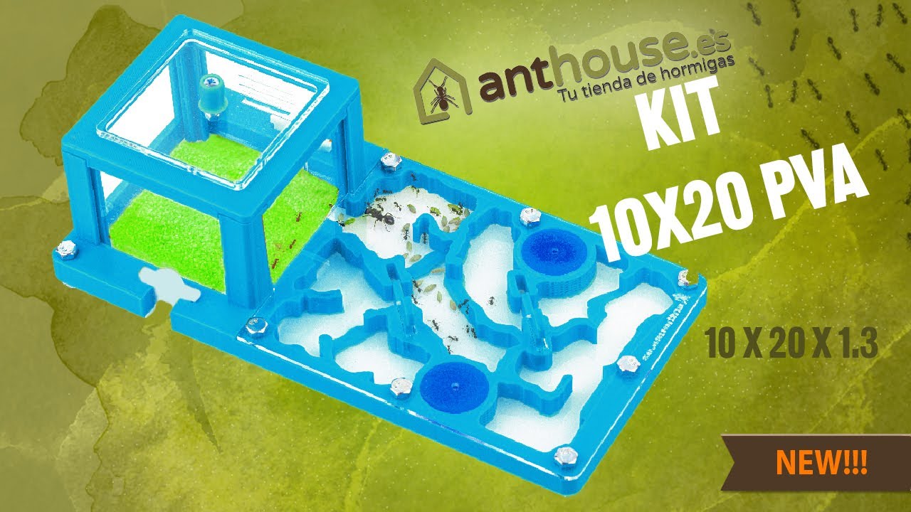 KIT 20X20 PVA antfarm.