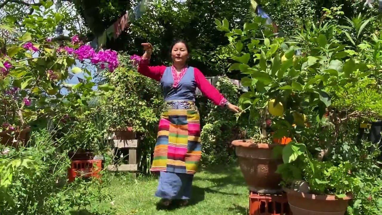 TASHI DHUESANG by @PhurbuNamgyal #tibetanvlogger #tibetanyoutuber #tibetan #dance #gorshey