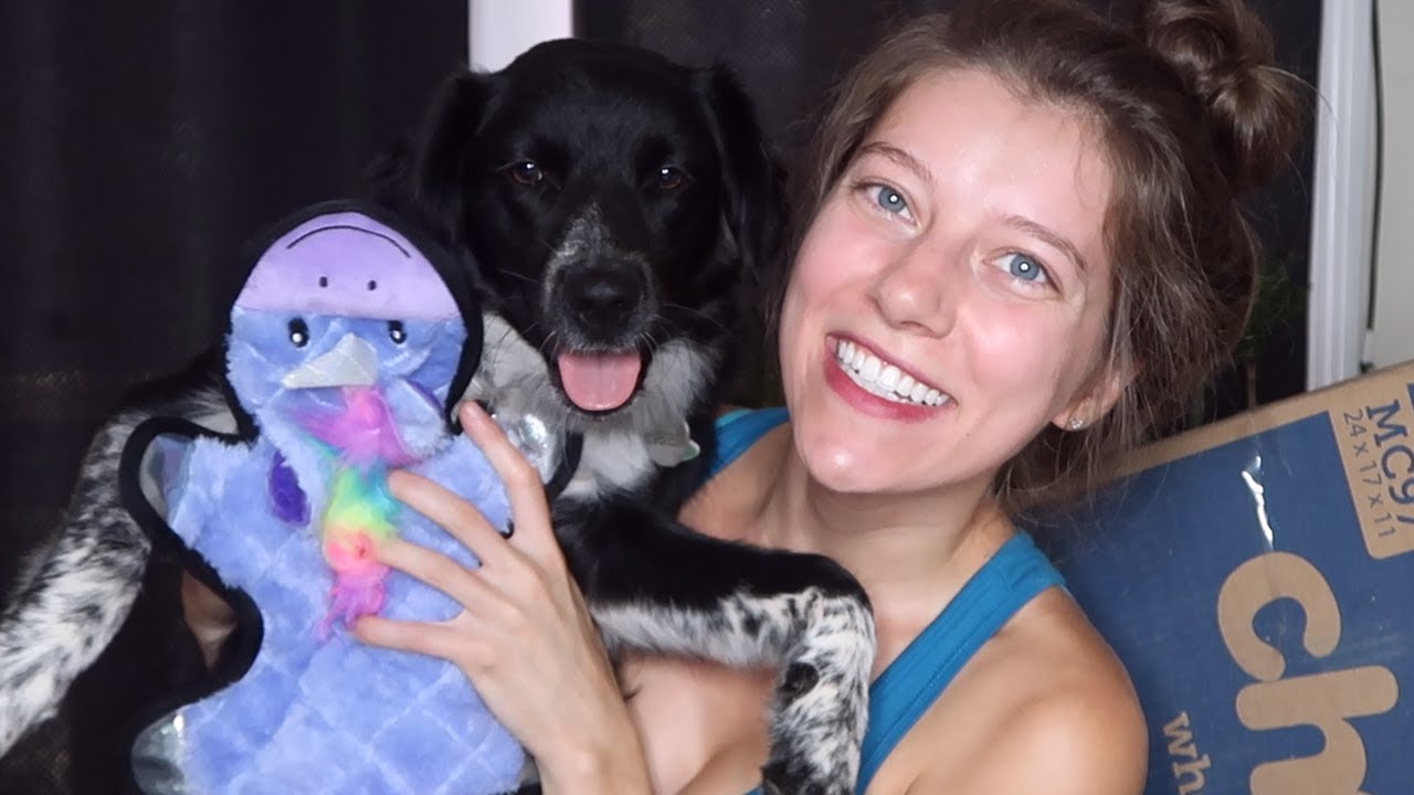 Rabbit and Dog Toy Haul from Chewy! | Ohcluck