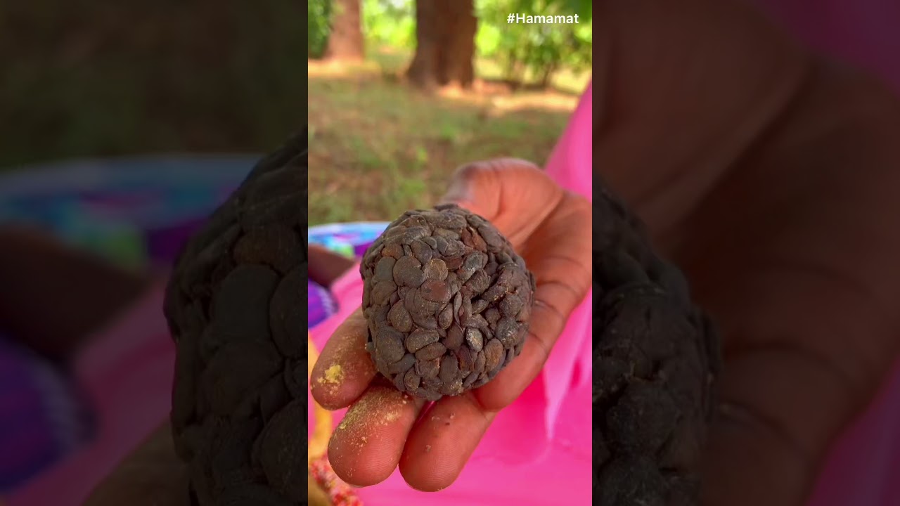 Dawadawa fruit