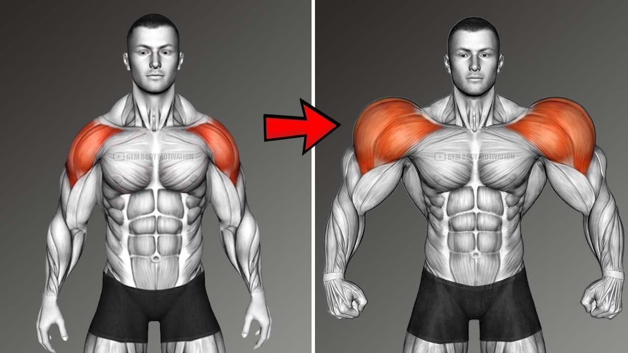 Build 3D Shoulders WITHOUT Heavy Pressing With 6 Exercises