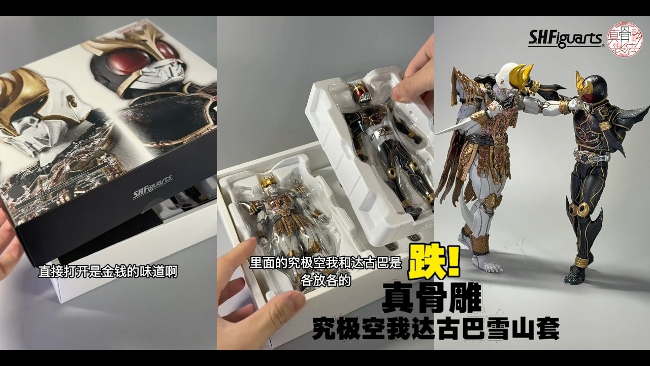 初版よりずっと安い！S.H.Figuarts-真骨蝶 聖鳳-仮面ライダー 空我 黒岳のしとセット