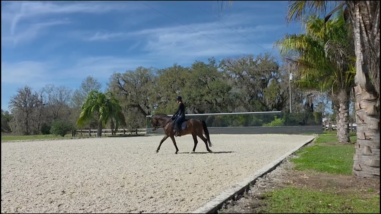 Anna Merritt & Fox Creeks Sensational